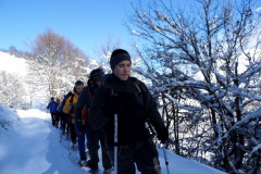 2014_01_26-Bosco-Paradiso-1
