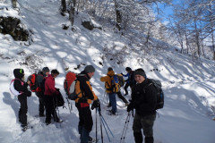 2014_01_26-Bosco-Paradiso-2