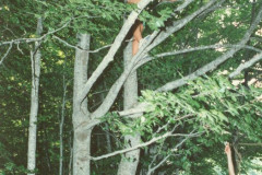 1989-Passo-S.Leonardo_066