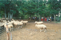 1989-Passo-S.Leonardo_087