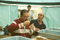 1990-Villavallelonga_043