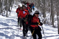2013_02_10-Ciaspolata-Bosco-21