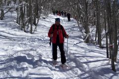 2013_02_10-Ciaspolata-Bosco-22