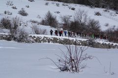 2013_02_10-Ciaspolata-Bosco-25