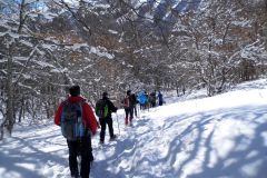 2013_02_10-Ciaspolata-Bosco-26