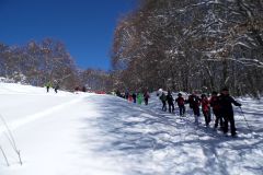 2013_02_10-Ciaspolata-Bosco-27