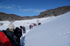 2013_02_10-Ciaspolata-Bosco-5
