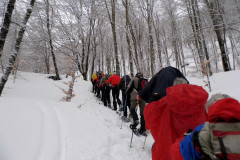 2013_02_24-Ciaspolata-Coppo-dell-Orso-4