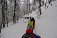 2013_02_24-Ciaspolata-Coppo-dell-Orso-5