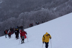 2013_02_24-Ciaspolata-Coppo-dell-Orso-8