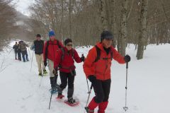 2015_03_15-Valle-Gentile-12