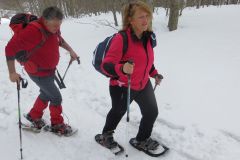 2015_03_15-Valle-Gentile-17