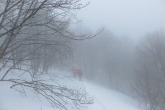 2015_03_15-Valle-Gentile-28