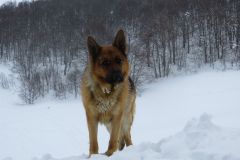 2015_03_15-Valle-Gentile-39