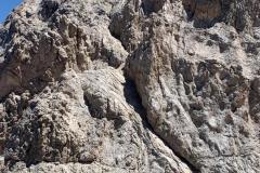 IMG-20240701-WA0024