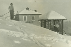 IMG-31