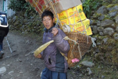 08-portatori-sherpa