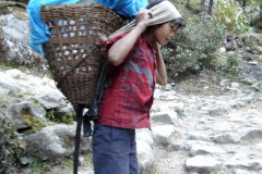 09-portatori-sherpa