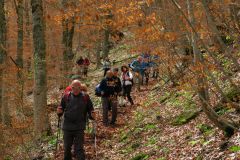 2016_05_15-La-Montagnola-Villetta-B-29