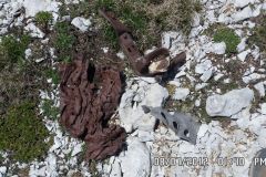 2012_07_08-Monte-Amaro-37