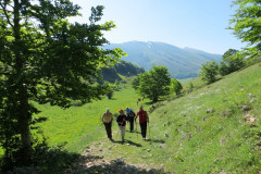 2016_06_08-Monte-Godi-6