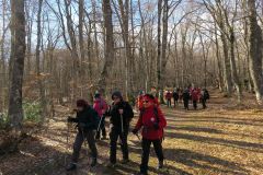 2016_02_21-Monte-Pizzalto-12