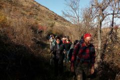 Ocriticum_2017_11_26-2