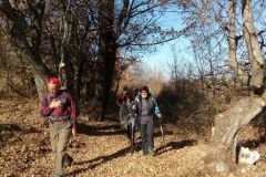 Ocriticum_2017_11_26-5