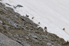 2013_04_14-Passo-dei-Monaci-9