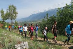 2017_06_10-Pietre-Rege-28