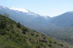 2019_03_31-Pietre-rege-15