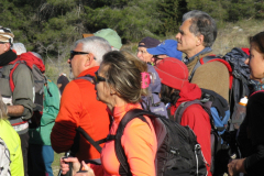 2019_03_31-Pietre-rege-5
