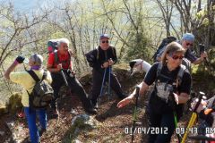 SAM_0766