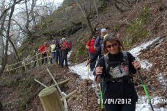 SAM_0903