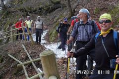 SAM_0905