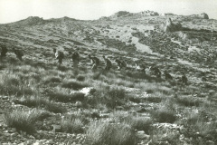 Maiella-10