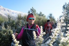 2016_12_18-Puzzacchio-15