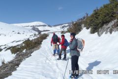 2012_03_11-Sparvera-3