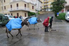 Sentiero03-3